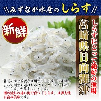 宮崎日向灘どれ釜揚げしらす丼(15食分)魚 小魚 魚介類 小分け シラス おつまみ カルシウム 釜揚げ 冷凍 海鮮丼 【E-10】【水永水産】