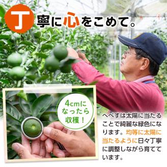 ＜先行予約受付中！2026年6～7月の間に発送予定＞期間限定！門川町産へべす(1kg)柑橘 果汁 国産 特産品 宮崎県 門川町【AM-1】【川崎農園】