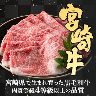 宮崎牛 こま肉 ミンチ セット(計1kg・こま肉400g、ミンチ600g)牛肉 お肉 こま切れ ひき肉 黒毛和牛 ブランド和牛 詰め合わせ 詰合せ 国産 冷凍【MF-9】【エムファーム】