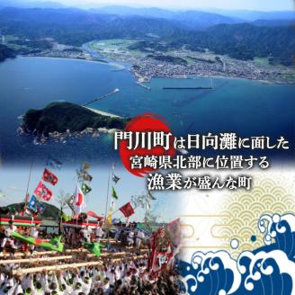 鱧つくし セット(合計約1.3kg・ハモたたき80g×3、鱧のからあげ200g×3、鱧すり身500g)はも ハモ 骨切り タタキ 唐揚げ 海鮮 魚介 おつまみ 惣菜 簡単 お手軽 冷凍 食べ比べ 詰め合わせ 詰合せ 国産 宮崎県産【MF-36】【エムファーム】