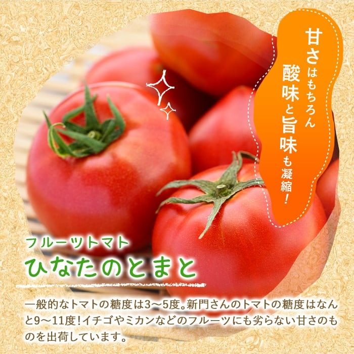 ＜先行予約受付中！2026年2月から順次発送予定＞ひなたのとまと(1.1kg)トマト フルーツトマト 糖度 9度 以上 野菜 旬野菜 冷蔵 国産 宮崎県産【A-4】【新門トマト農園】