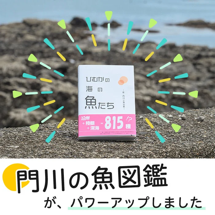 新・門川の魚図鑑(1冊)お魚 知育 学習 本 書籍【AI-3】【門川町地域振興課】