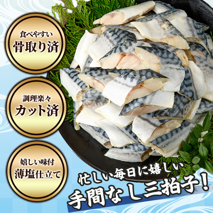 骨取り 肉厚 さば切身(10切れ) 骨とり サバ切身 小分け 切り身 鯖 さば 塩サバ 塩鯖 骨なし 骨取り済 カット済 塩焼き 簡単 フライ 魚 海鮮 冷凍 お弁当 おかず 【AW-46】【丸正水産】
