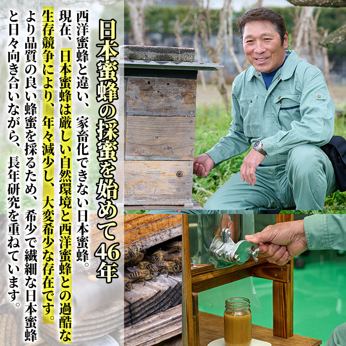 ＜数量限定＞幻の蜂蜜（1本・260g） ハチミツ 蜂蜜 日本蜜蜂 ハニー 国産 日本ミツバチ 非加熱 純粋 【YH-1】【安田蜂蜜】