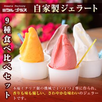 【I-3】＜先行予約受付中！2026年1月から順次発送予定＞自家製こだわり製法！焼きドーナツ(15個)・ジェラート(9個)【ミツル・プラス】