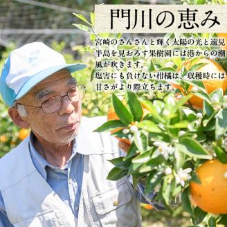 ＜先行予約受付中！2026年2月下旬～4月末発送予定＞宮崎県門川町産せとか(約3kg) 柑橘 果物 数量限定 期間限定 国産 フルーツ 常温保存 遠見半島 宮崎県 門川町 【AE-18】【勝農園】