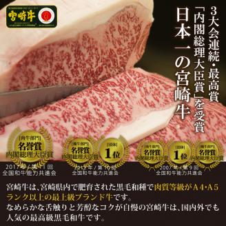 宮崎牛！特選！食べ比べ焼肉6種盛り(合計600g)国産 宮崎県産 牛肉 お肉 ロース カルビ 赤身 特選赤身 霜降り 中落ちカルビ 冷凍【AP-14】【日向屋】