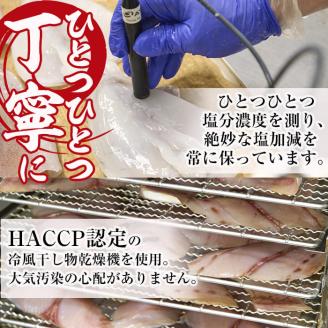 朝獲れ鮮魚で作る！魚屋さんの自家製ソフト干物！(合計2kg以上・15~25枚・3~5種類入り)アジ イワシ カマス イカ タイ ブリカマ セット 詰め合わせ ひもの 焼き魚 おかず お惣菜【YS-3】【株式会社安田】