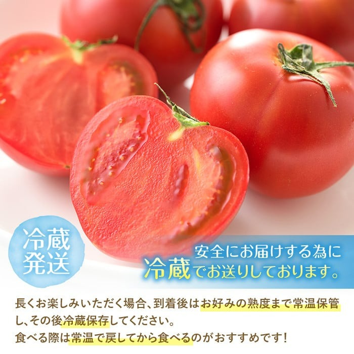 ＜先行予約受付中！2026年2月から順次発送予定＞ひなたのとまと(1.1kg)トマト フルーツトマト 糖度 9度 以上 野菜 旬野菜 冷蔵 国産 宮崎県産【A-4】【新門トマト農園】