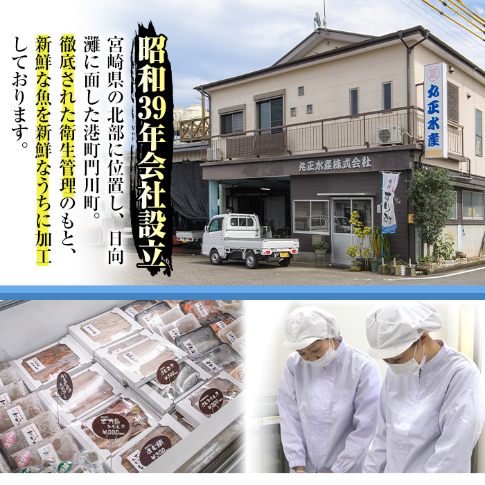 ＜訳あり＞「宮崎からすみ寒」ブロック(計40g・20g×2袋)【AW-40】【丸正水産】