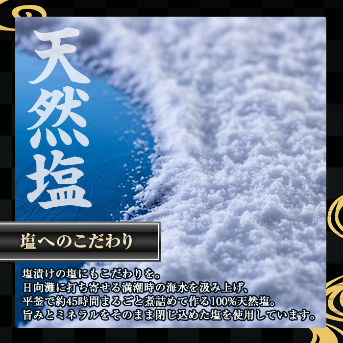 ＜訳あり＞宮崎からすみ寒(100g)＜からすみパウダー40g付＞カラスミ 魚卵 珍味 つまみ 唐墨 珍味 酒の肴 ボラ ぼら 簡易包装 宮崎県 門川町【AW-41】【丸正水産】
