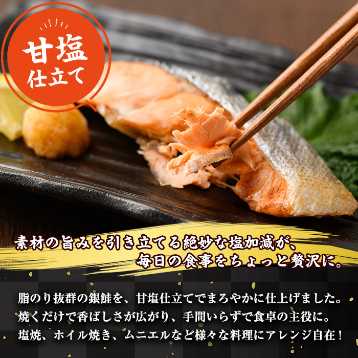 ＜訳あり＞ 甘塩 銀鮭切り落とし (500g) 甘塩 小分け 切り身 鮭 海鮮 魚介類 さけ 鮭 しゃけ 鮭切身 カット済 塩焼き 簡単 フライ 魚 海鮮 冷凍 お弁当 おかず 【KI-19】【イチマル食品加工】