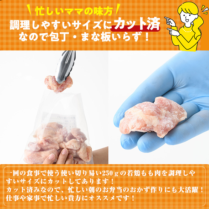 ＜先行予約受付中！2026年4月中に発送予定＞鶏肉 もも肉 小分け 個別凍結(計3kg・250g×12P)お肉 鳥肉 とり肉 切身 カット済 個別凍結 IQFカット 国産 宮崎県産 唐揚げ から揚げ からあげ 冷凍 便利【NK-02】【株式会社南九フーズ】