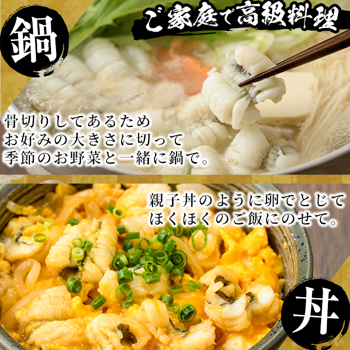 骨切り 白鱧 (計800g・400g×2本) 骨切り済 ハモ はも 天ぷら しゃぶしゃぶ フライ 小分け 冷凍 魚介類 鍋 国産 宮崎県 門川町【O-7】【門川漁業協同組合】