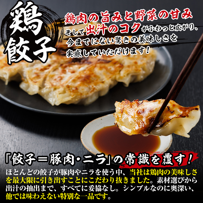 鶏の本場の老舗鶏屋が作る味鶏の餃子セット (計48個・1Pあたり12個入・柚子胡椒30g付き！) 鶏餃子 餃子 鶏肉 ぎょうざ おかず お惣菜 おつまみ 冷凍【V-70】【味鶏フーズ】