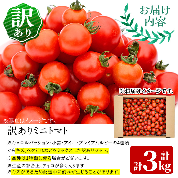 訳あり 規格外 数量限定 門川町産 ミニトマト(計3kg)  訳あり 規格外 数量限定 門川町産 ミニトマト 期間限定 生活応援 とまと 野菜 ミックス 生 旬野菜 冷蔵 小鈴 キャロルパッション プレミアムルビー アイコ 【X-10】【いけとも農園】