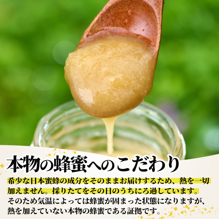 ＜数量限定＞幻の蜂蜜（1本・260g） ハチミツ 蜂蜜 日本蜜蜂 ハニー 国産 日本ミツバチ 非加熱 純粋 【YH-1】【安田蜂蜜】