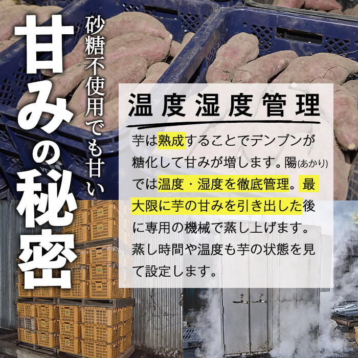 おやつ芋 安納芋 冷凍 焼き芋(計12個・3個入り×4袋) 焼芋 やきいも さつまいも さつま芋 レンジ 安納芋 小分け おやつ 【YO-10】【株式会社陽】