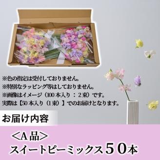 ＜先行予約受付中！2026年1月以降順次発送予定＞＜A品＞スイートピーミックス(50本)花 フラワー ギフト 贈り物 プレゼント 常温 保存 宮崎県 門川町【AL-3】【安田農園】