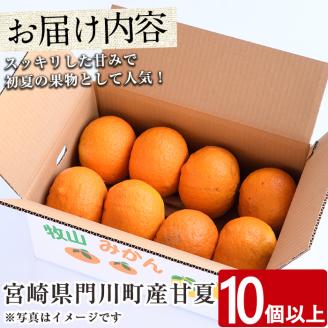 ＜先行予約受付中！2026年3月下旬～5月末の間に発送予定＞宮崎県門川町産甘夏(10個以上) 柑橘 果物 数量限定 期間限定 国産 フルーツ 常温 保存 遠見半島 【AE-21】【勝農園】