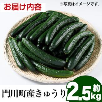 宮崎県産きゅうり(2.5kg)野菜 やさい サラダ 胡瓜 漬物 キムチ 冷蔵【NS-2】【中澤農園】