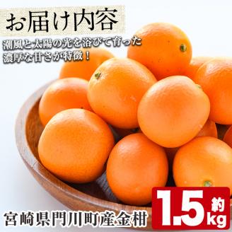 ＜先行予約受付中！2026年2月以降順次発送予定＞宮崎県門川町産きんかん(約1.5kg)金柑 キンカン 柑橘 フルーツ 果物 国産 冷蔵【AE-11】【勝農園】