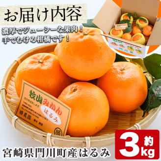＜先行予約受付中！2026年2～4月中旬発送予定＞宮崎県門川町産はるみ(約3kg) 柑橘 果物 数量限定 期間限定 国産 フルーツ 冷蔵 保存 遠見半島 【AE-20】【勝農園】