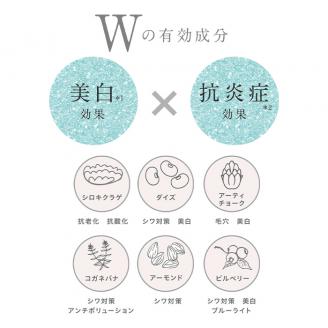 オールインワン美容液「CoeurdeSerum」(60g・使い方book付)化粧品 美容 コスメ スキンケア【AV-1】【mine】