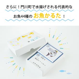 新・門川の魚図鑑と魚かるたセット！お魚 知育 学習 本 書籍 玩具 おもちゃ カードゲーム【AI-4】【門川町地域振興課】