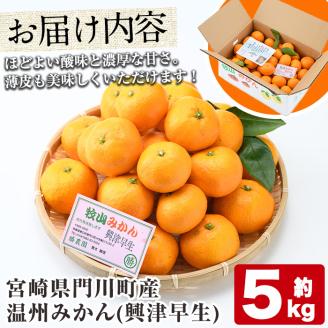 温州みかん興津早生≪おきつわせ≫(約5kg) ミカン 蜜柑 柑橘 果物 数量限定 期間限定 国産 フルーツ 常温 保存 宮崎県 門川町 遠見半島 【AE-23】【勝農園】