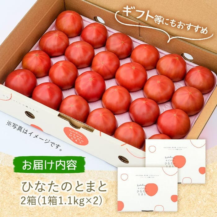 ＜先行予約受付中！2026年2月から順次発送予定＞ひなたのとまと(計2.2kg・1.1kg×2箱)トマト フルーツトマト 糖度 9度 以上 野菜 旬野菜 冷蔵 門川町産 宮崎県 門川町【A-3】【株式会社 新門トマト農園】