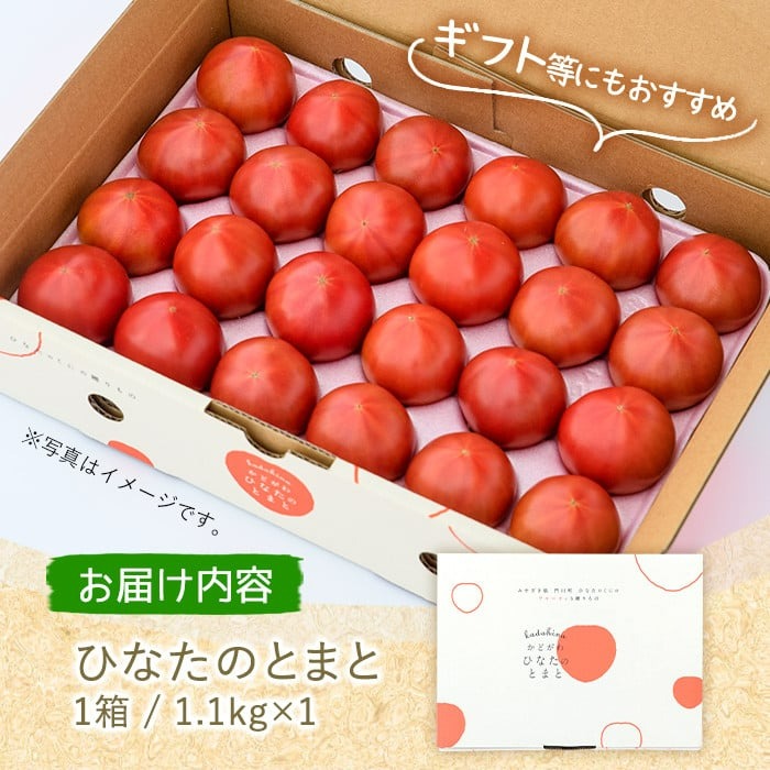 ＜先行予約受付中！2026年2月から順次発送予定＞ひなたのとまと(1.1kg)トマト フルーツトマト 糖度 9度 以上 野菜 旬野菜 冷蔵 国産 宮崎県産【A-4】【新門トマト農園】