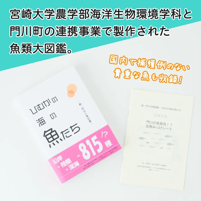 新・門川の魚図鑑(1冊)お魚 知育 学習 本 書籍【AI-3】【門川町地域振興課】