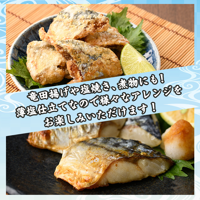 骨取り 肉厚 さば切身(10切れ) 骨とり サバ切身 小分け 切り身 鯖 さば 塩サバ 塩鯖 骨なし 骨取り済 カット済 塩焼き 簡単 フライ 魚 海鮮 冷凍 お弁当 おかず 【AW-46】【丸正水産】