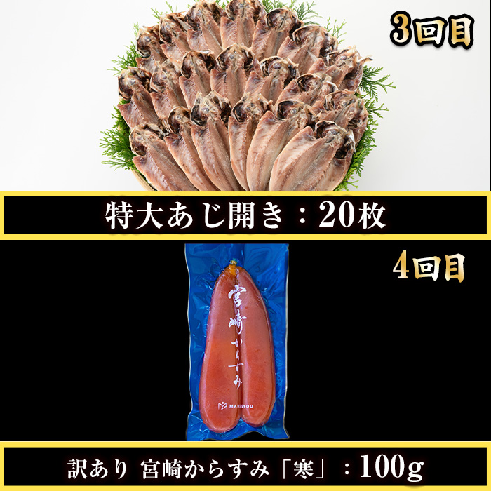 ＜定期便・全4回(連続)＞さかなのまち 門川 海の幸 定期便 ( 骨取り 肉厚 サバ切身×40切・味付けすりみ2種 計1.8kg、特大 あじ　開き×20切・訳あり からすみ100g) アジ さば カラスミ おかず 惣菜 骨とり 煮物 すり身 宮崎県 門川町【AW-64】【丸正水産】
