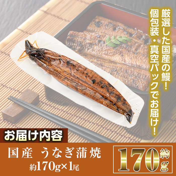 国産 うなぎ 蒲焼 (約170g×1尾) 鰻 タレ かば焼き うな重 うな丼 ひつまぶし 小分け 真空包装 真空パック 【AW-89】【丸正水産】