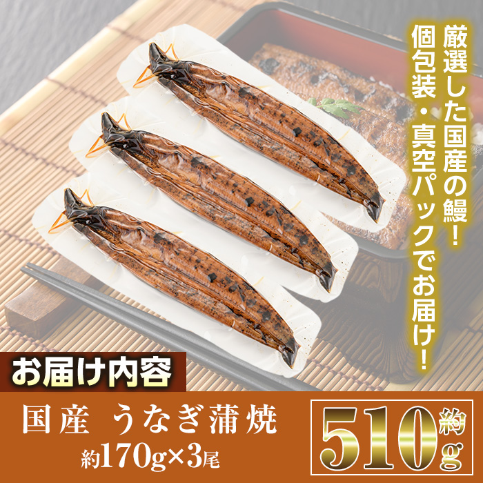 国産 うなぎ 蒲焼 (約170g×3尾) 鰻 タレ かば焼き うな重 うな丼 ひつまぶし 小分け 真空包装 真空パック 【AW-90】【丸正水産】