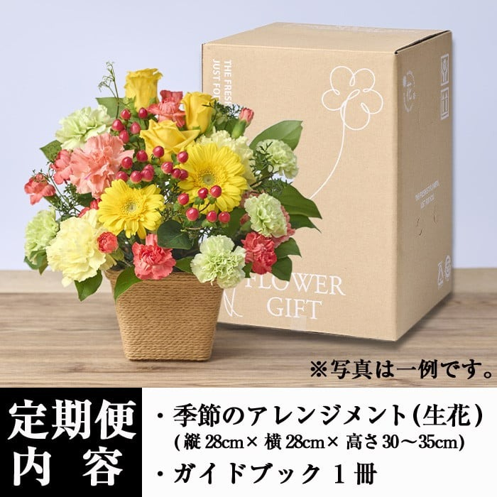 ＜定期便・6回(連続)＞季節のお楽しみフラワーアレンジメント(生花：Mサイズ)花 花束 フラワー ギフト 贈り物 インテリア【FM-29】【フラワーショップまつだ】
