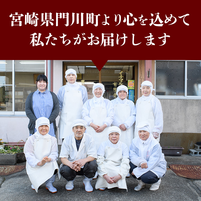 さつま揚げ 極上 つけあげ (計10枚・5枚×2パック) 国産 宮崎県産 門川町産 すりみ さつまあげ おつまみ おかず 弁当 惣菜 おでん 鍋 魚 魚介 【KI-4】【イチマル食品加工】