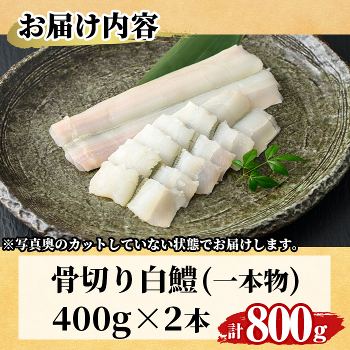 骨切り 白鱧 (計800g・400g×2本) 骨切り済 ハモ はも 天ぷら しゃぶしゃぶ フライ 小分け 冷凍 魚介類 鍋 国産 宮崎県 門川町【O-7】【門川漁業協同組合】