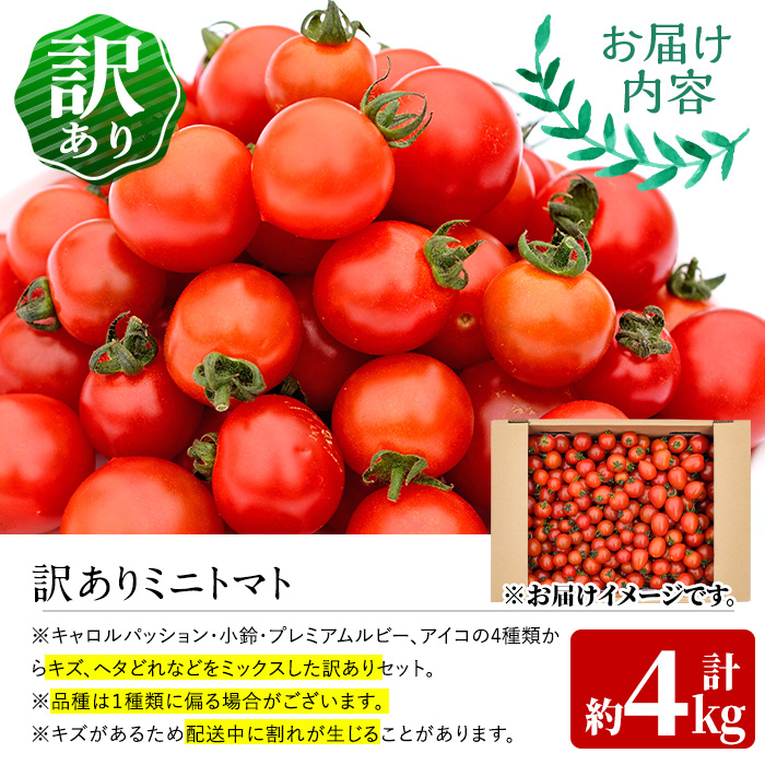 訳あり・規格外！数量限定の門川町産ミニトマト(計約4kg)フルーツトマト とまと 野菜 キャロルパッション 小鈴プレミアムルビー アイコ ミックス 生 旬野菜 冷蔵【X-11】【いけとも農園】