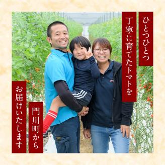 訳あり・規格外！数量限定の門川町産ミニトマト(計約4kg)フルーツトマト とまと 野菜 キャロルパッション 小鈴プレミアムルビー アイコ ミックス 生 旬野菜 冷蔵【X-11】【いけとも農園】