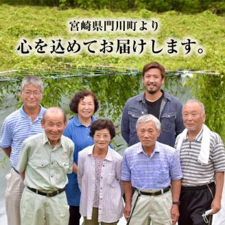 ＜先行予約受付中！2025年11月下旬から順次発送予定＞＜期間限定＞山菜の王者自然薯 (約1.2kg)  山芋 じねんじょ とろろ 長いも 国産 旬 野菜 新鮮 やさい 常温 保存 宮崎県 門川町 【Y-1】【自然薯組合】