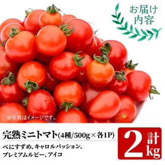 門川町産完熟ミニトマト4種食べ比べセット(合計2kg・各500g)【X-7 