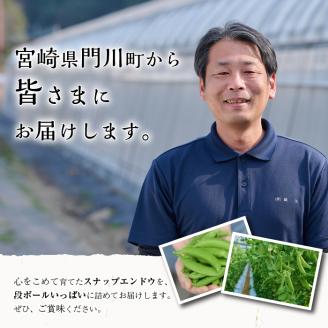 ＜先行予約受付中！2026年2月下旬～4月上旬の間に発送予定＞期間限定！スナップエンドウ(約2kg)野菜 やさい 旬 新鮮 サラダ そら豆 えんどう豆 宮崎県産【GF-1】【グーファーム】