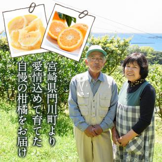 ＜先行予約受付中！2026年3月下旬～5月末の間に発送予定＞宮崎県門川町産甘夏(10個以上) 柑橘 果物 数量限定 期間限定 国産 フルーツ 常温 保存 遠見半島 【AE-21】【勝農園】
