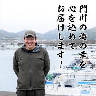 岩田水産の「訳あり干物セット」(合計3.2kg以上・5種以上)ひもの 簡単 調理 冷凍 魚 海鮮  あじ ちりめん さば さごし かます めひかり いりこ 詰め合わせ 個包装 小分け 宮崎県 門川町【AS-2】【岩田水産】