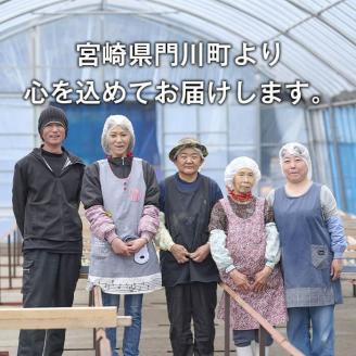 数量限定！【冷凍】焼き芋・2種食べ比べセット(紅はるか・安納芋・合計2kg・500g×2袋×2種)冷凍 焼芋 やきいも さつまいも さつま芋 レンジ 食べ比べ 小分け【YO-4】【株式会社 陽】