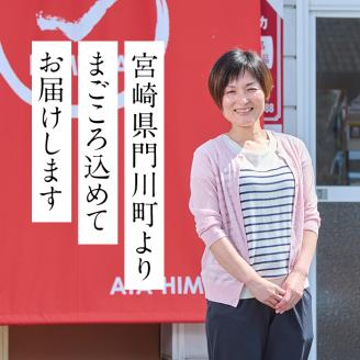 きくいもパウダー(40g×1袋)菊芋 粉末 イヌリン 食物繊維 栽培期間中農薬・化学肥料不使用 チャック袋 保存料不使用 腸内環境 血糖値 宮崎県産 国産【AY-7】【AYA-HIMUCA】