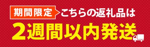 肉巻きおにぎり(計1.2kg・120g×10P)豚肉 お弁当 レンジアップ 小分け 湯煎 個包装 おつまみ レトルト 常温 保存 ご当地 簡単調理【AP-12】【株式会社 日向屋】
